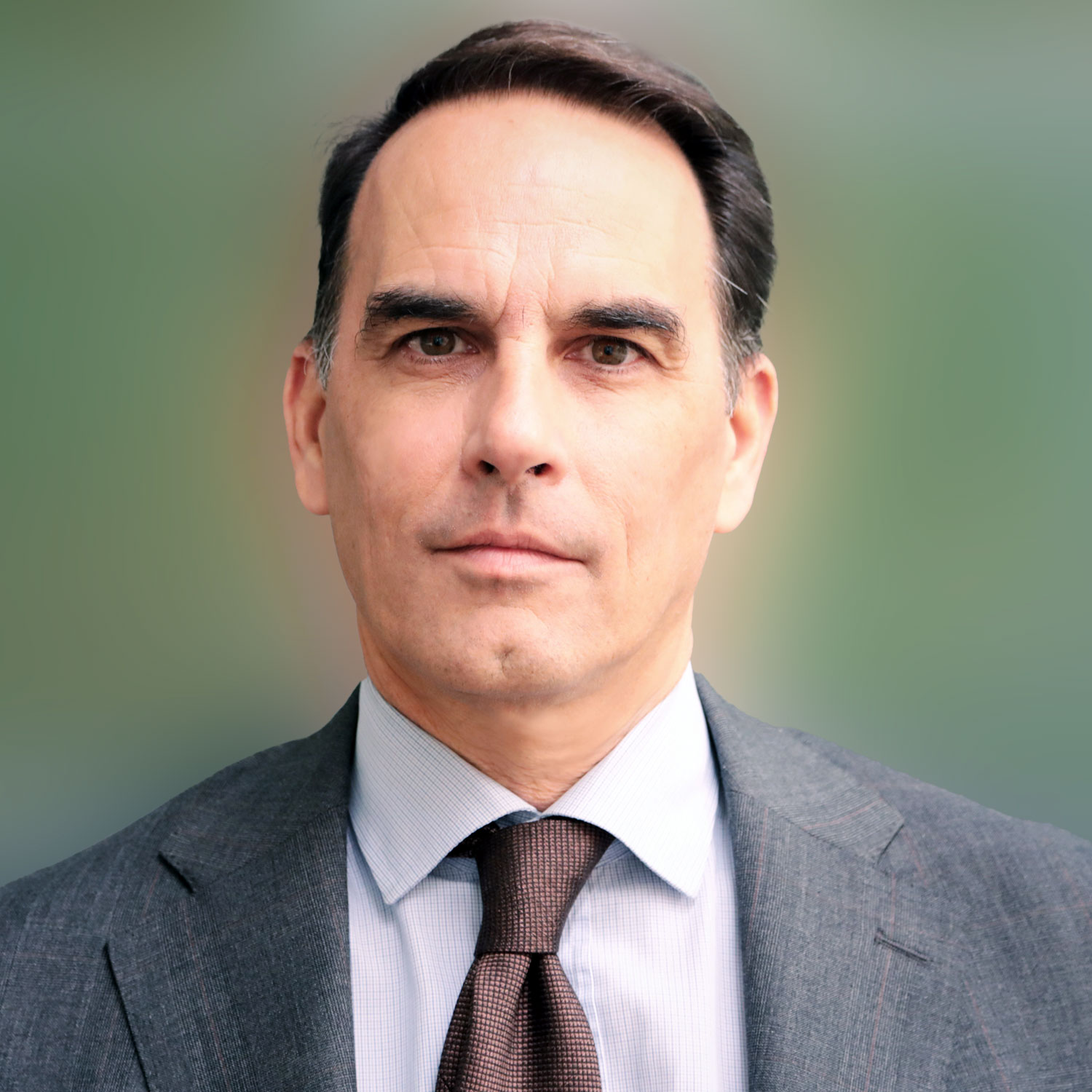 Prof. Dr. Daniele Caramani