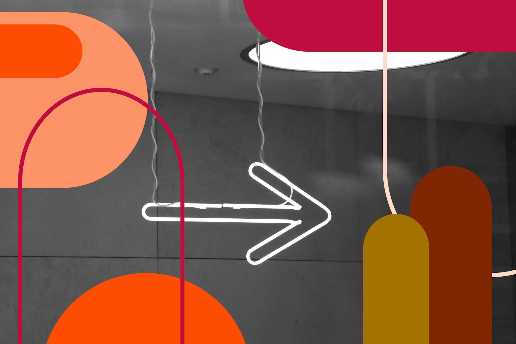 Institutsorganisation