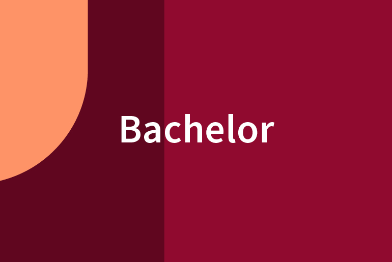 Bachelor of Arts in Political Science