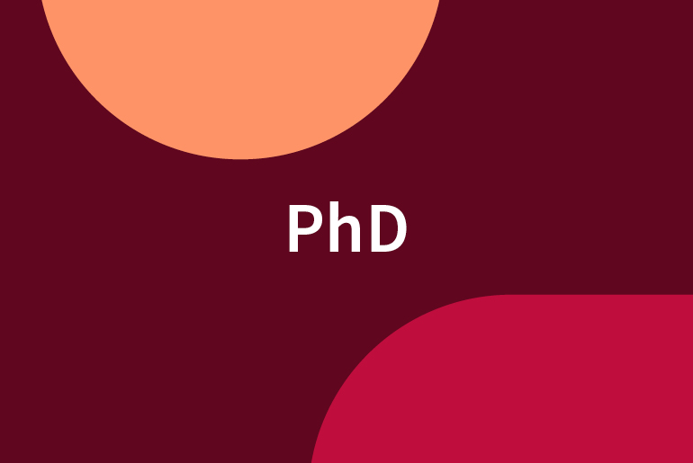 PhD in Political Science